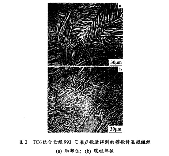 TC6鈦合金經993℃準β鍛造得到的模鍛件顯微組織(a) 肋部位；(b) 腹板部位