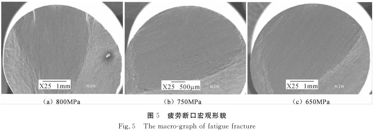 1696408047235294.jpg t5.jpg