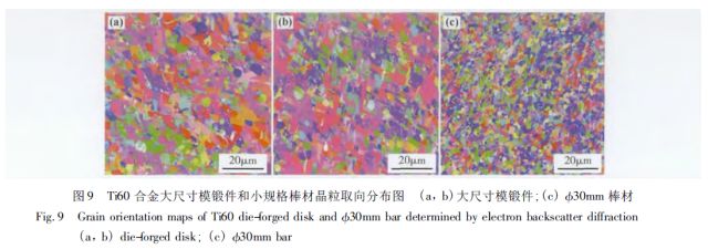 1696587133316876.jpg 21.jpg