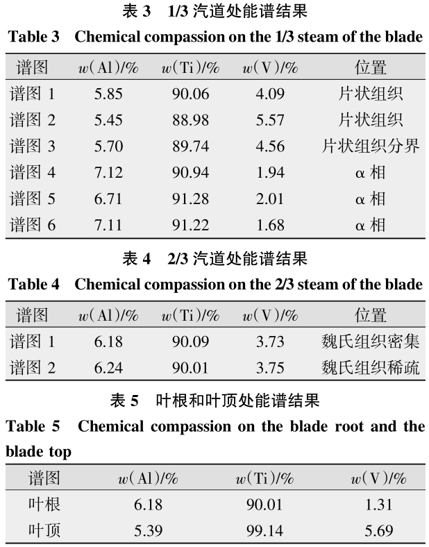 1700692164363015.jpg b3-5.jpg