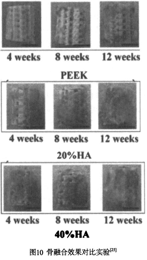 1701419764420223.jpg t10.jpg