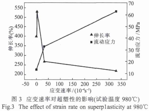 1708436990565999.jpg t3.jpg