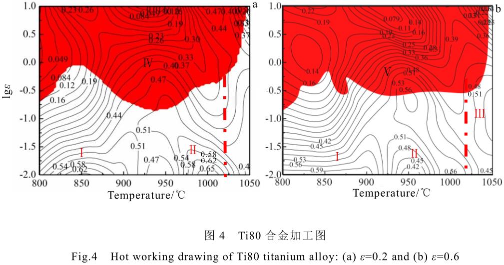 1708442282610822.jpg t4.jpg