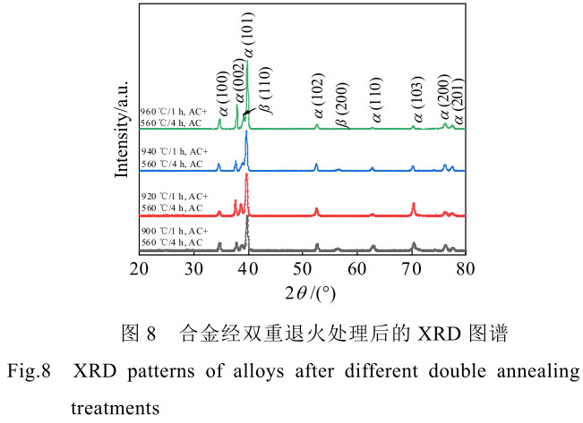 1708444179683558.jpg t8.jpg