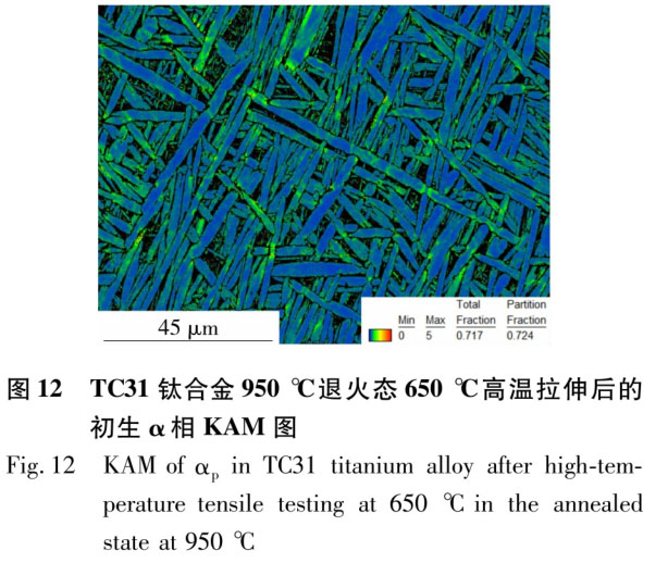 1723799323720135.jpg t12.jpg