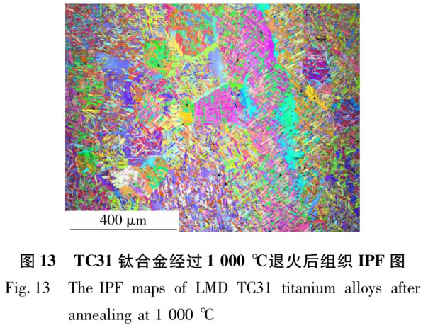 1723799331722788.jpg t13.jpg