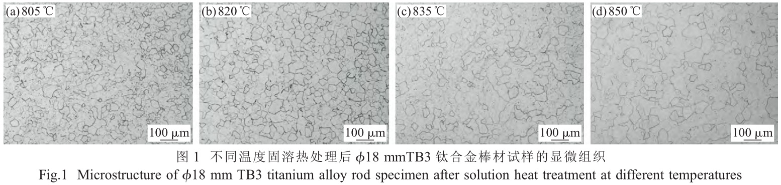 1726738184218747.jpg t1.jpg