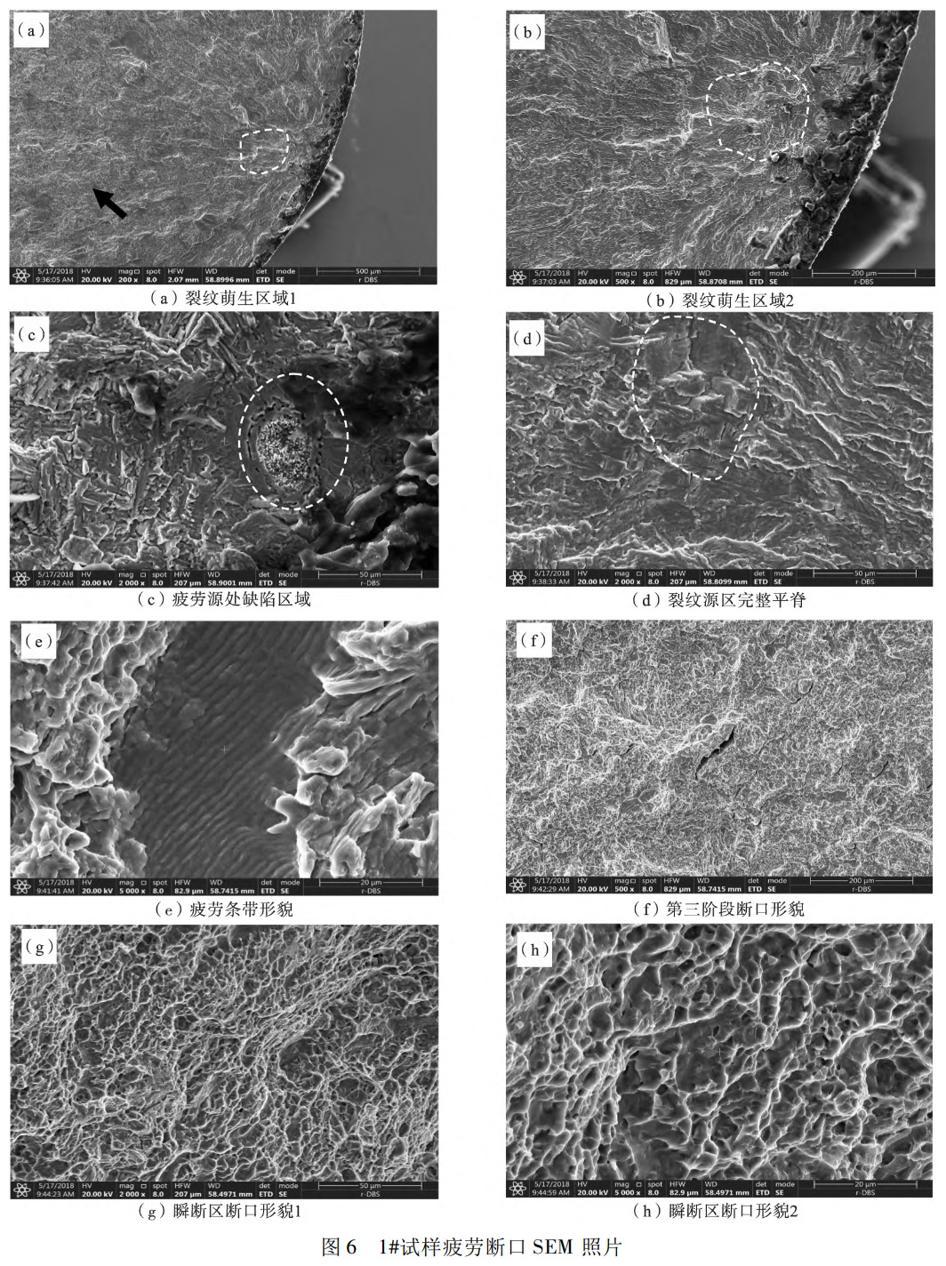 1739631073505207.jpg 6.jpg