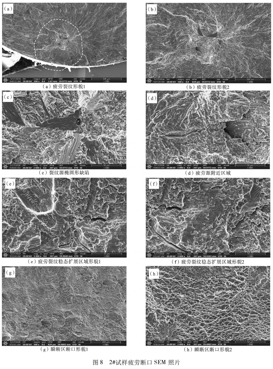 1739631091189640.jpg 8.jpg