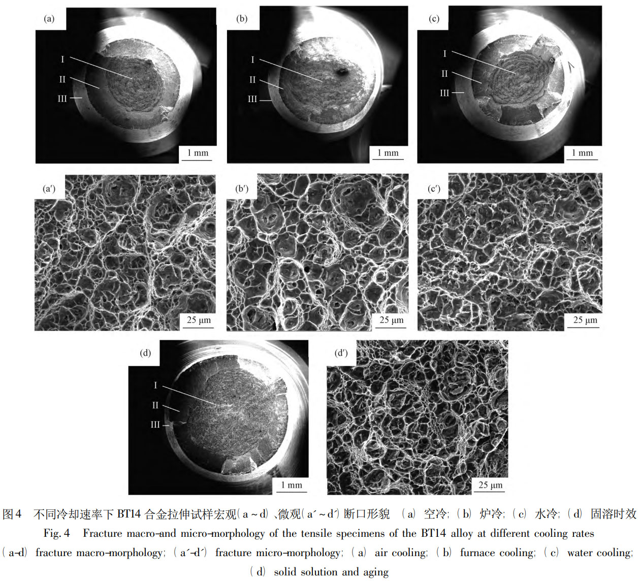 1760926126911418.jpg 未標(biāo)題-1.jpg