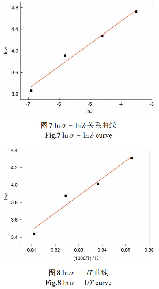 1761011232518871.jpg t7-8.jpg