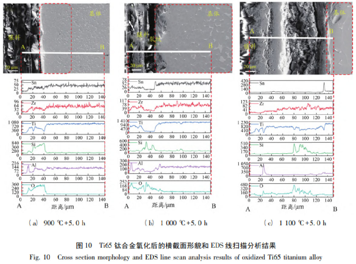 1762333738748247.jpg 未標(biāo)題-1.jpg