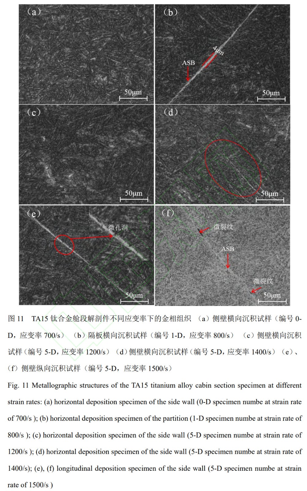 1762342236202215.jpg 未標題-3.jpg