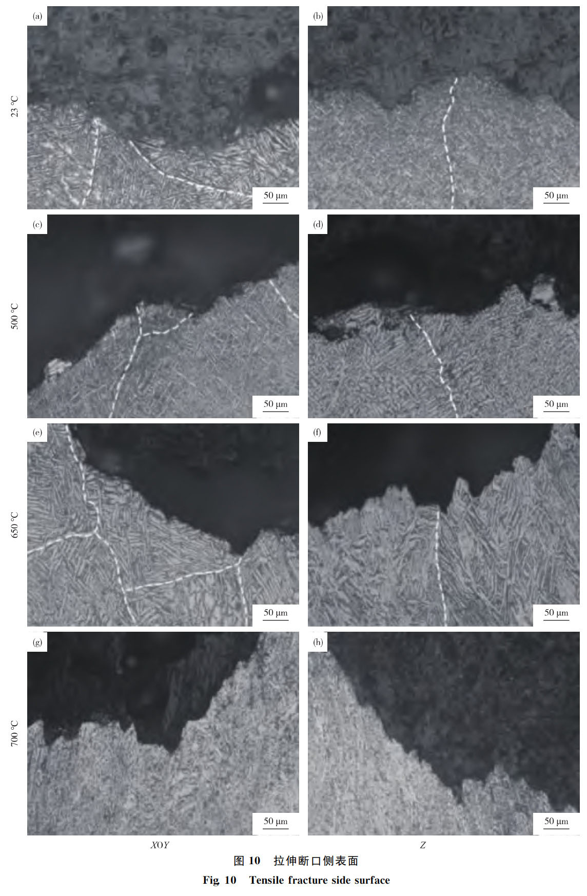 1762347916912613.jpg 激光沉積Ti65鈦合金拉伸性能_周松_9.jpg